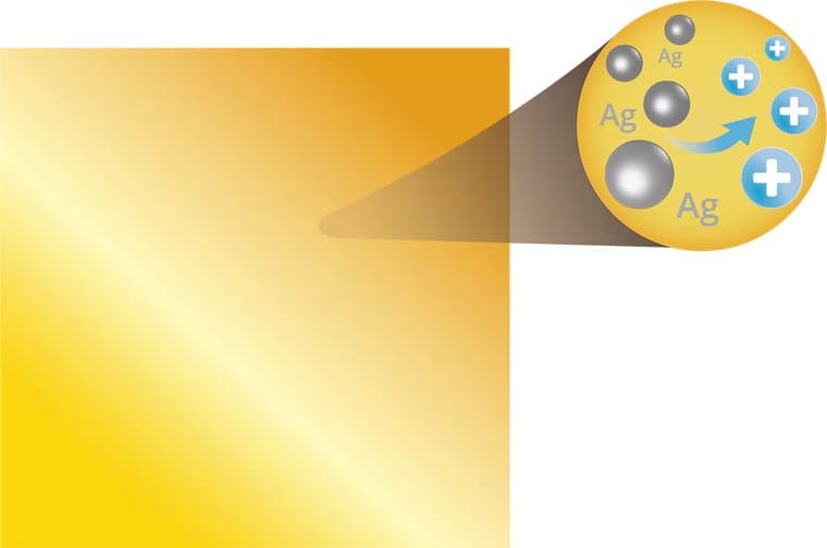 Microlyte® SAM